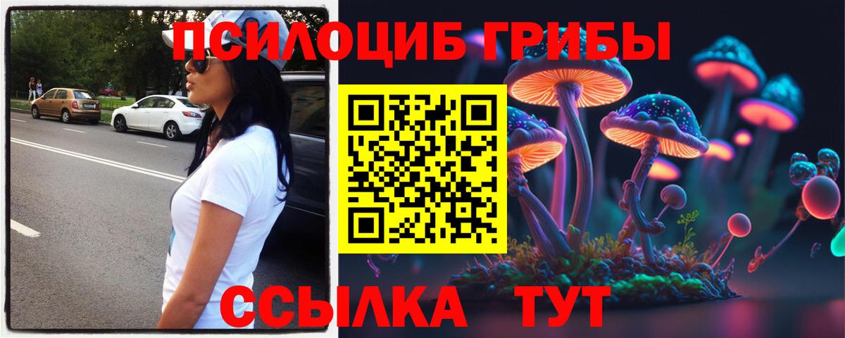 Королёв  купить наркоту  Вход с VPN  Псилоцибиновые грибы Magic Shrooms 